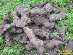 [ũ�����]�����˹����༼����Ƶ