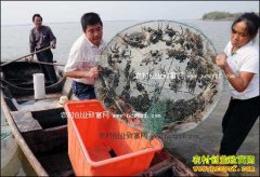 ������½����ˮ�������зЧ���