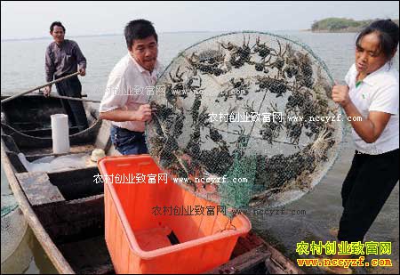 ������½����ˮ�������зЧ���