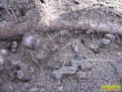 [�Ƽ�Է]�ֳ������� ������ֲ������Ƶ