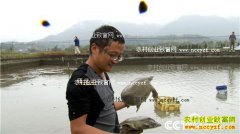 [�¸���]����캵���������ֳ��������¾�׬һ����