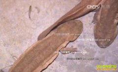 [�Ƽ�Է]���վ�������ȫ��������������