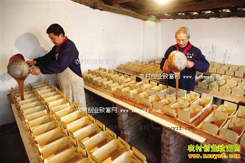 ���쿪�������򣺹ŷ����ƺ��ǳ�ũ���¸�����Ŀ