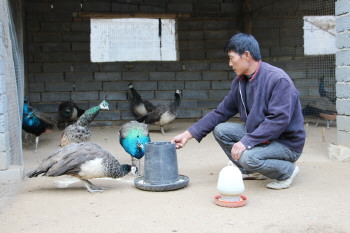 ɽ����ˮ�������Է���������ȸÿֻ��������ǧ