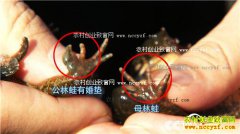 [�¸���]���ɹ���������־�������ܴ�ҵ�������̣��£�