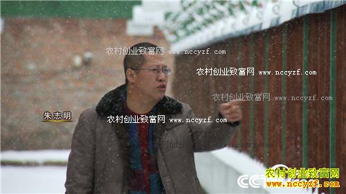 �¸��������ŹײĴ�ҵ��������(��) 11��24��