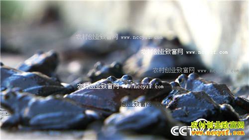 ���ŹײĴ�ҵ��������(��) (2016.11.24 )