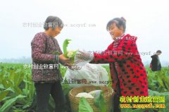 ������ˮ����ֲ�л�����Ķ������Ԫ