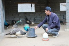 ɽ����ˮ�������Է���������ȸÿֻ��������ǧ