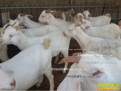 δ����۸��������ƣ���������Ƿ������Ƿ�ת��