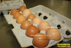 ���¼����۸��������ƣ������۸���ʱƽ��