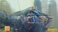 [ÿ��ũ��]���й����ҵİ��޵�ˮ����Ϻ��ֳЧ���