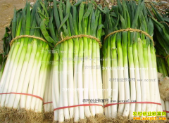 �ӱ���м۸����飺�ӱ�������м۸��½�