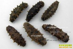 2016�꺣�μ۸����飺�������߳���������