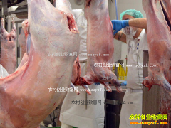 ɽ����ͬ������۸��������µ�