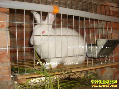 ɽ��������־��ת����̡�üӹ�����·