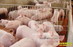 ���������۸�����Ԥ�⣺ǿ�������Ϯ���۽�ȫ������