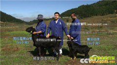 [�¸���]������������С��¿�����ֳ��ɽ�����