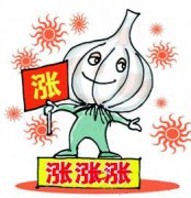 �Ĵ�����۸�������飺����۸��������õ�������