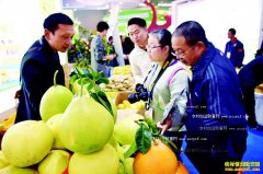 �Ĵ������ؽ�־����ֲ��������۸����۸��