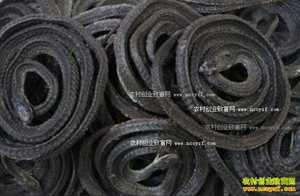 ���������¼۸�����