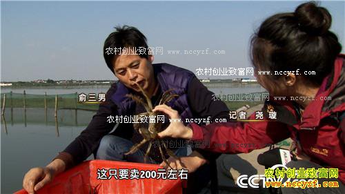 �¸��������κ�з״Ԫ��������ɵ� 11��30��