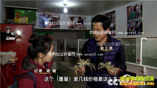 �¸��������κ�з״Ԫ��������ɵ� 11��30��