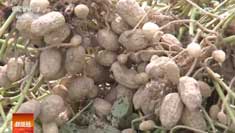 [�Ƽ�Է]������������������ֻ���������