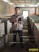 ���콭��������ֳ��������һͷС��������Ԫ