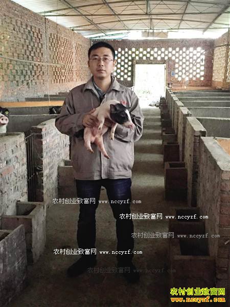 ���콭��������ֳ��������һͷС��������Ԫ