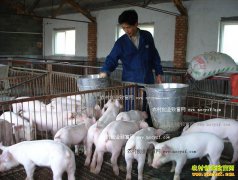 ��ʢ������ֳ�����磺��ɽ����Ƽ����� �����׷�˷�����