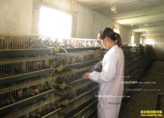 ������ֳ��������������ι����ͺô���