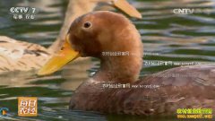 [ÿ��ũ��]�����촨������ֳ��ëѼЧ���