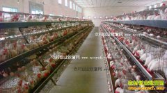 ����Ԥ������������������