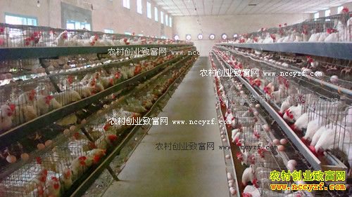 ����Ԥ������������������