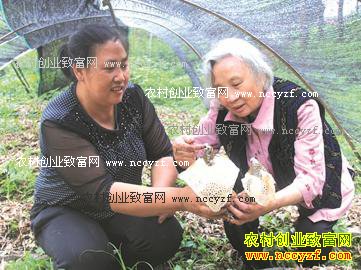 �Ĵ������أ���ֲ��ݥ��ũ���¸�����Ŀ