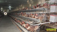 ��������ƣ��֢��֢״�����η���