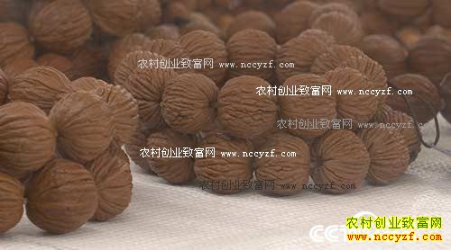 [��ɫʱ��]���������Ž�����ֲ�ں��ұ��ҡǮ��