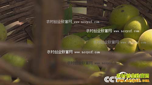 ��ɫʱ�գ��ں��ҡ��ļޡ����ҡǮ�� 12��4��