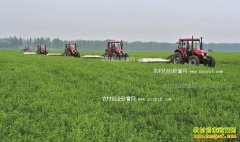 ����ũ��ѧ�������Ϸ���ֲ��ޣ��г��հ�