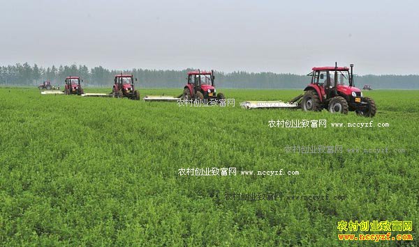 ��ѧ�������Ϸ���ֲ��ޣ��г��հ�