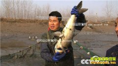 [�¸���]�����γ�����ΰ��ֳ����׬Ǯ�¸���