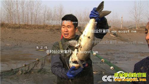 �¸�������׬Ǯ ������ 12��2��