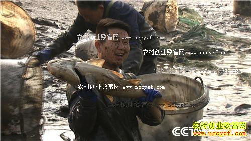 �¸�������׬Ǯ ������ 12��2��