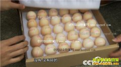 [�¸���]����Ѱ�������ٻ����������׬����