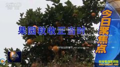 [�۽���ũ]�������ݡ������ء����ֳ�׬Ǯ���