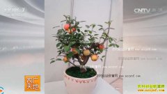 [ũ�����]������������������ƻ���ļ�����