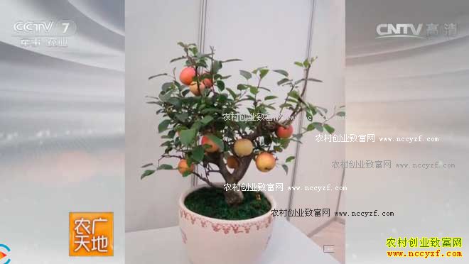 [ũ�����]������������������ƻ������ �ļ����� 20161205