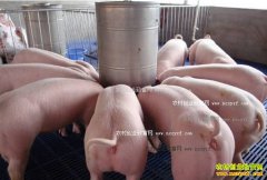 2017�������ܲ���׬��Ǯ��