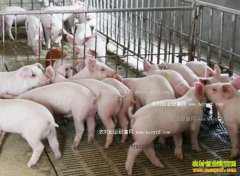 ����Ч����������������ܶ�׬Ǯ��